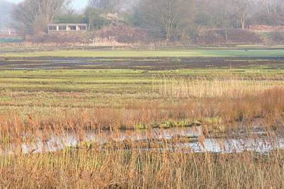 BUITEN BEELD Foto: 61936