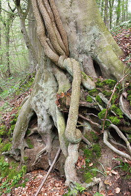 BUITEN BEELD Foto: 61938
