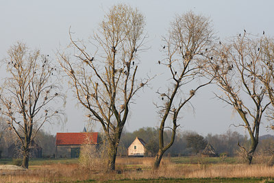 BUITEN BEELD Foto: 61942