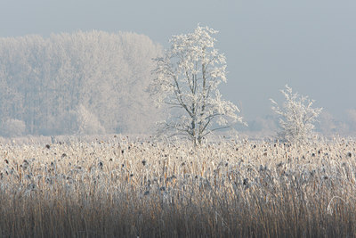 BUITEN BEELD Foto: 61948