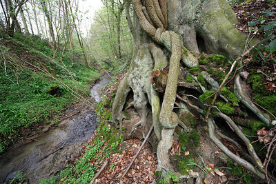 BUITEN BEELD Foto: 61988