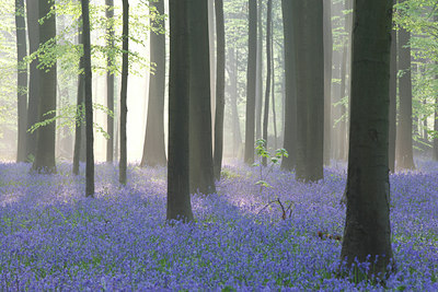 BUITEN BEELD Foto: 61994