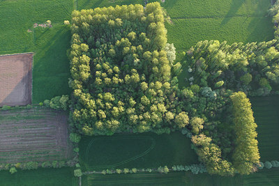 BUITEN BEELD Foto: 62001