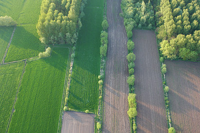 BUITEN BEELD Foto: 62012
