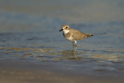 BUITEN BEELD Foto: 62040