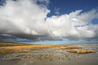 BUITEN BEELD Foto: 62068