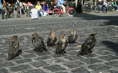 BUITEN BEELD Foto: 62161
