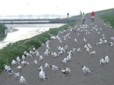 BUITEN BEELD Foto: 62167