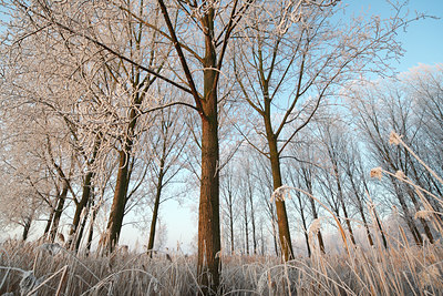 BUITEN BEELD Foto: 62178