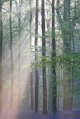 BUITEN BEELD Foto: 62187