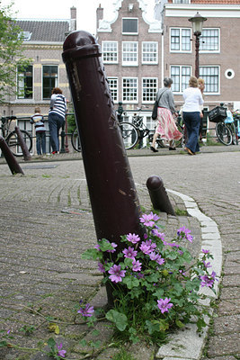 BUITEN BEELD Foto: 62201