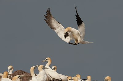 BUITEN BEELD Foto: 62214
