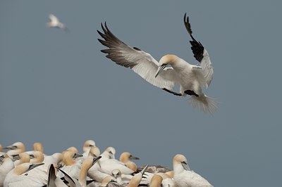 BUITEN BEELD Foto: 62218