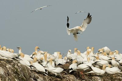 BUITEN BEELD Foto: 62228