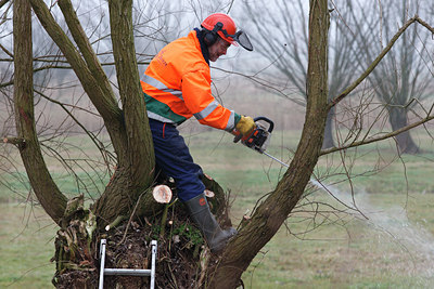 BUITEN BEELD Foto: 62233