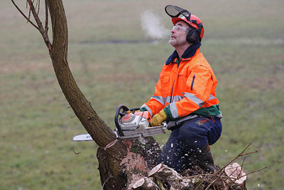 BUITEN BEELD Foto: 62244