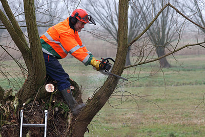 BUITEN BEELD Foto: 62246