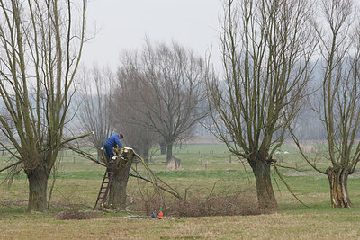 BUITEN BEELD Foto: 62249