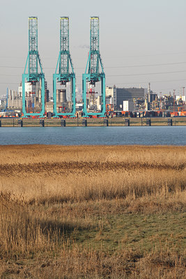 BUITEN BEELD Foto: 62257