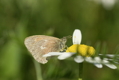 BUITEN BEELD Foto: 62264