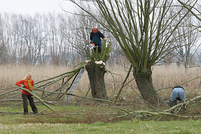 BUITEN BEELD Foto: 62267