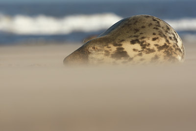 BUITEN BEELD Foto: 62282