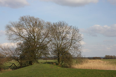 BUITEN BEELD Foto: 62297