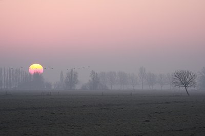 BUITEN BEELD Foto: 62298
