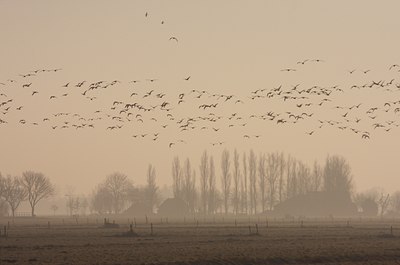 BUITEN BEELD Foto: 62300