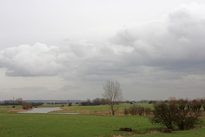 BUITEN BEELD Foto: 62303