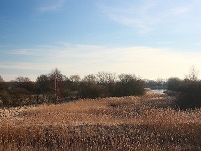 BUITEN BEELD Foto: 62309