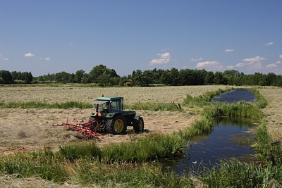 BUITEN BEELD Foto: 62323