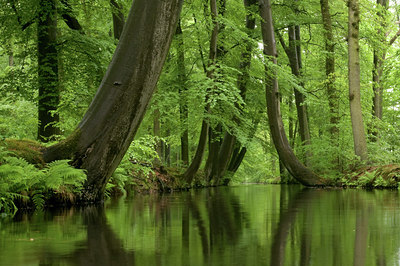 BUITEN BEELD Foto: 62335