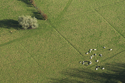 BUITEN BEELD Foto: 62339