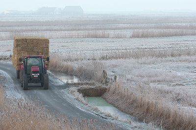 BUITEN BEELD Foto: 62340