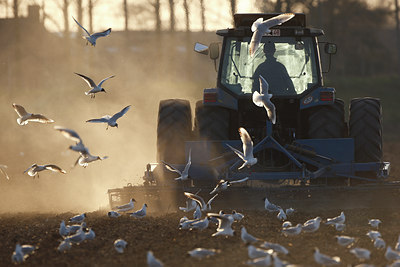 BUITEN BEELD Foto: 62341
