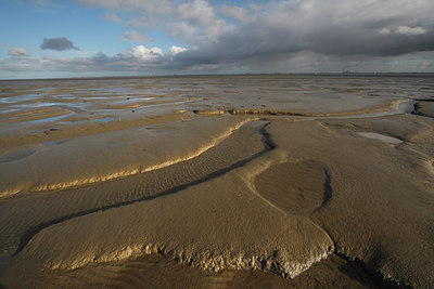BUITEN BEELD Foto: 62366