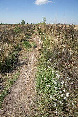 BUITEN BEELD Foto: 62482