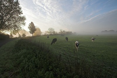 BUITEN BEELD Foto: 62484