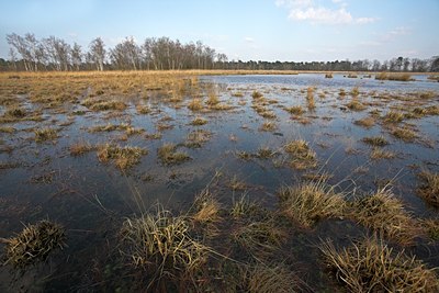 BUITEN BEELD Foto: 62495