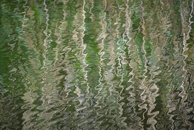 BUITEN BEELD Foto: 62496