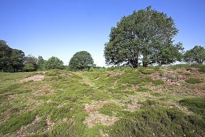 BUITEN BEELD Foto: 62497