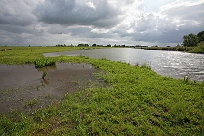 BUITEN BEELD Foto: 62500