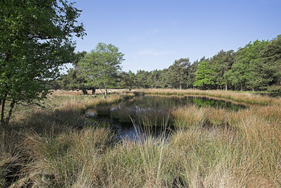BUITEN BEELD Foto: 62501