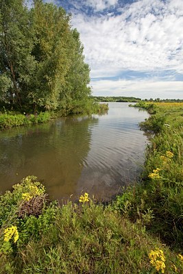 BUITEN BEELD Foto: 62505