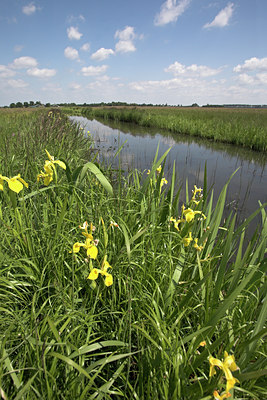 BUITEN BEELD Foto: 62506