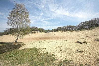 BUITEN BEELD Foto: 62508