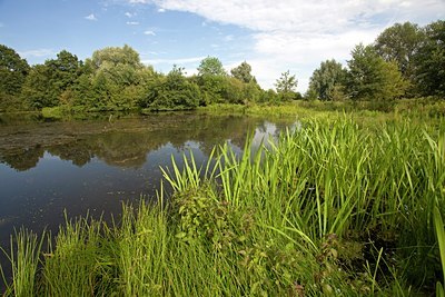 BUITEN BEELD Foto: 62510