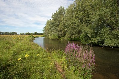 BUITEN BEELD Foto: 62516