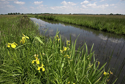 BUITEN BEELD Foto: 62530